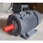 Technomoto Electro motor 8