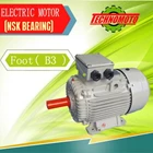 Electric Motor 3 Phase Technomoto Electrik Motor ( B3 ) 4