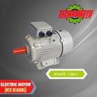 Electric Motor 3 Phase Technomoto Electrik Motor ( B3 ) 1