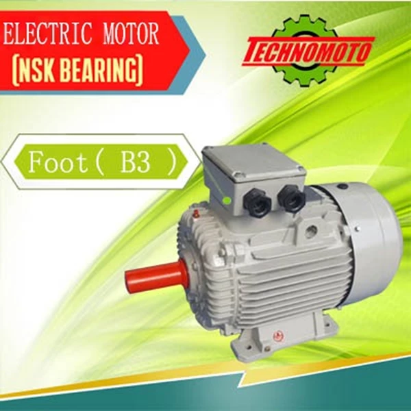 Electric Motor 3 Phase Technomoto Electrik Motor ( B3 )